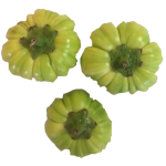 Djakatou fraîche 1Kg