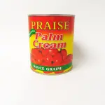 Praise Palm Cream Sauce Graine 800g