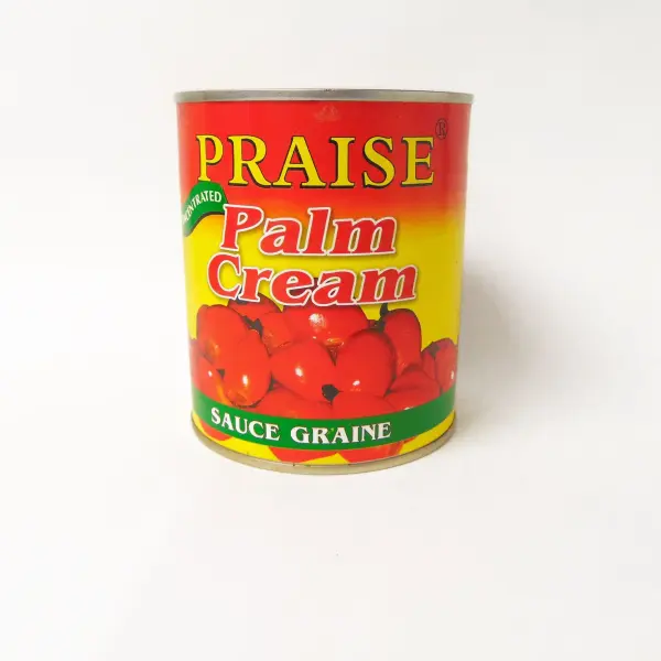 Praise Palm Cream Sauce Graine 400gr