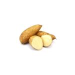 PATATE DOUCE BLANCHE 500g